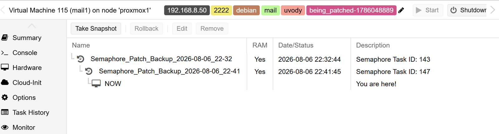 12 step 7 run run auto patching