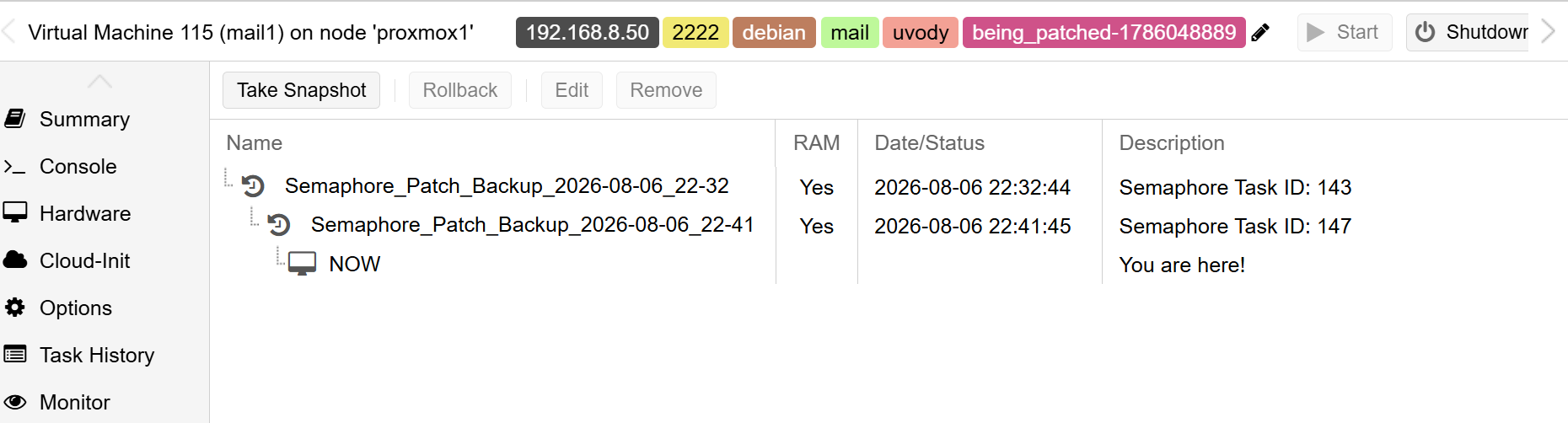 12 step 7 run run auto patching