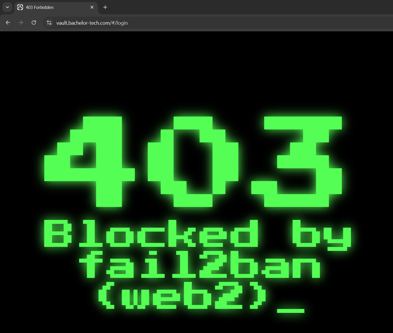 19 8 bonus customize the 403
