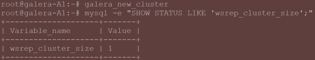 Check that an initial cluster with one node was created
